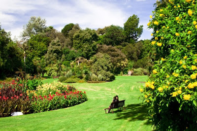 Giá vé máy bay đi Úc - The Royal Botanic Gardens Melbourne