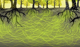Sistema de micorrizas para la comunicación entre árboles