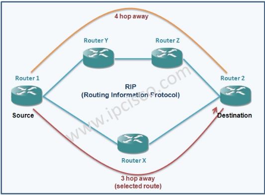 rip-routing-information-protocol-overview