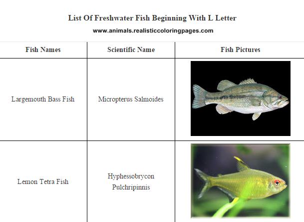 List of freshwater fish beginning with L