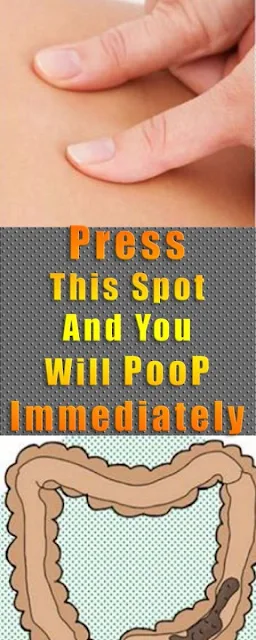 Press This Spot And You Will Poop Immediately!!