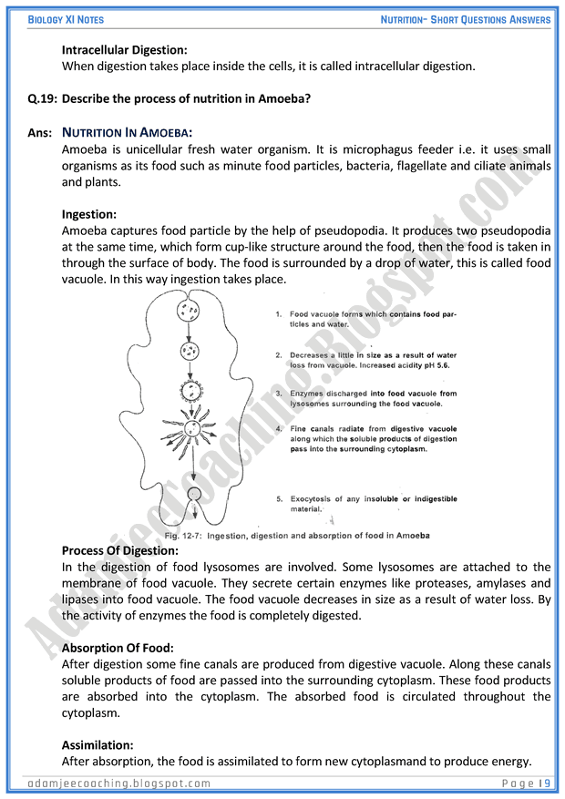 nutrition-short-question-answers-biology-11th