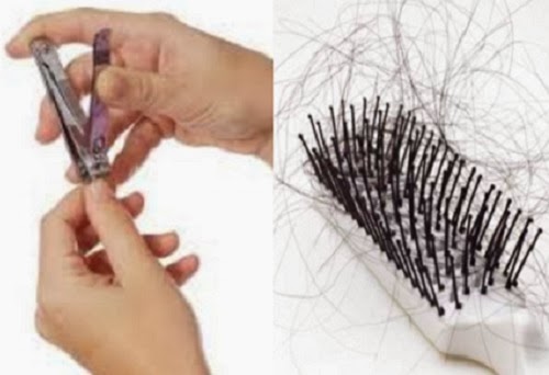 Bagaimana Cara Membuang Potongan Kuku dan Rambut  Haruskah 