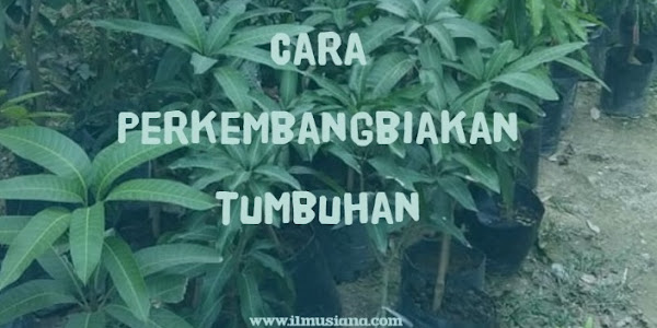 2+ Cara Perkembangbiakan Tumbuhan (Gambar Lengkap)