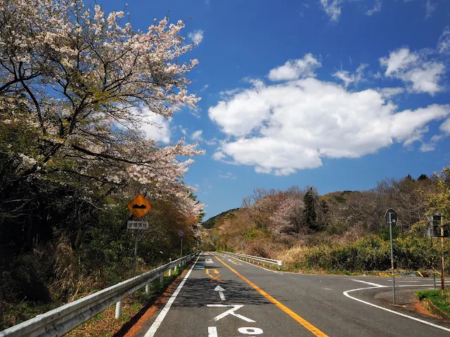 パープルライン　表筑波スカイライン