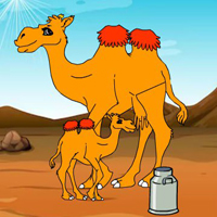 WOW Collect To The Camel …