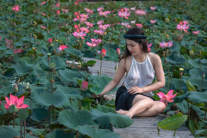 Lotus Goddes Wet Aoyem - Le Thi Kim Chi