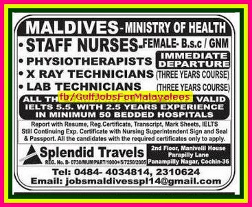 Maldives Ministry of Health Job Recruitment 