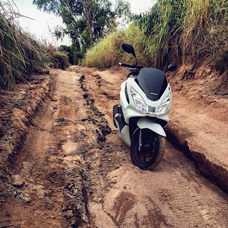 honda pcx white