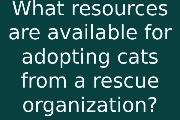 What resources are available for adopting cats from a rescue organization?