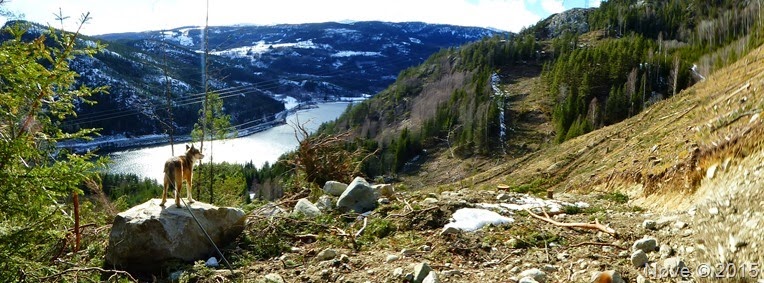 P1030938