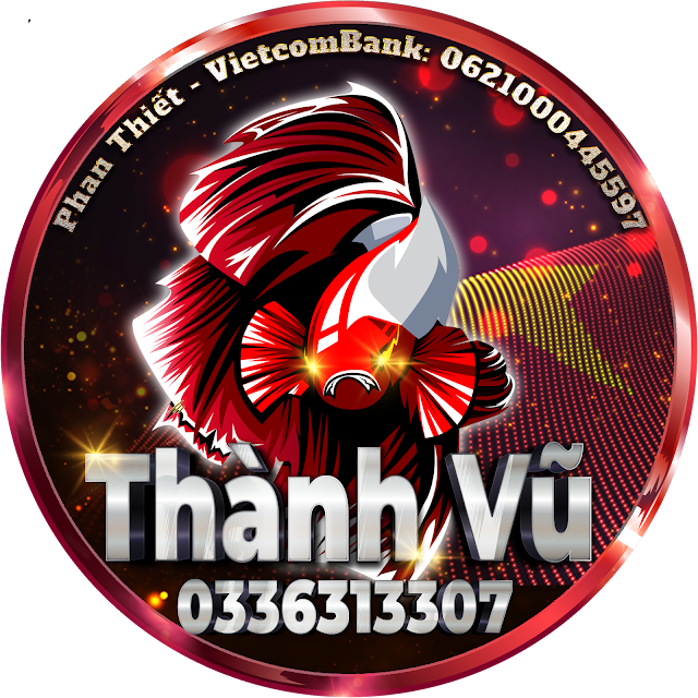 logo đẹp cho cá betta