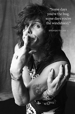 Steven Tyler quote... "Some days you're the bug... some days you're the windshield!"