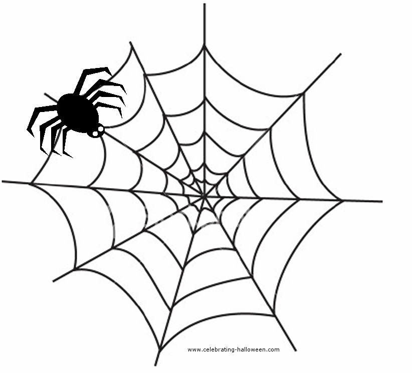 spider web images free. Next it was the full spider's web and spider's turn.