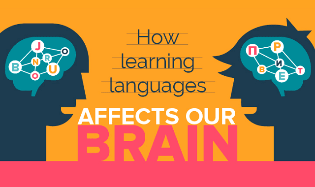 How learning languages affects our brain