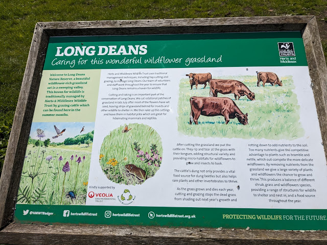 The second information board at Long Deans