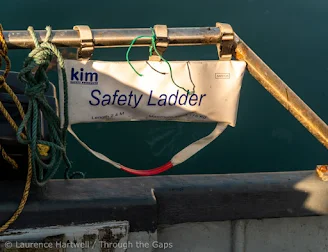 Through the Gaps! - Newlyn Fishing News: Midweek market in Newlyn. Cornwall  UK fish commercial fishing fish cooking and art