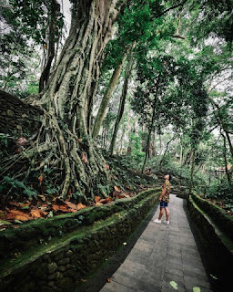 Monkey Forest Ubud