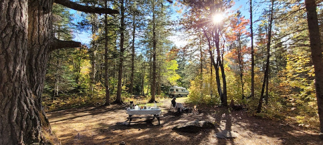 Sun shining through the trees to a campsite. Man sitting in front of fire pit.