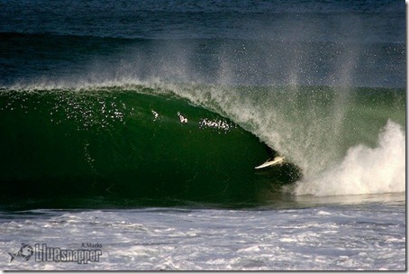 Northern Beachs. Foto: Alex Marks