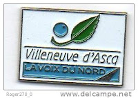 pins VILLENEUVE D'ASCQ / La Voix du Nord