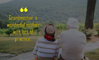 Grandparents quotes - Quotes about Grandparents