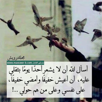 صور حلوة 