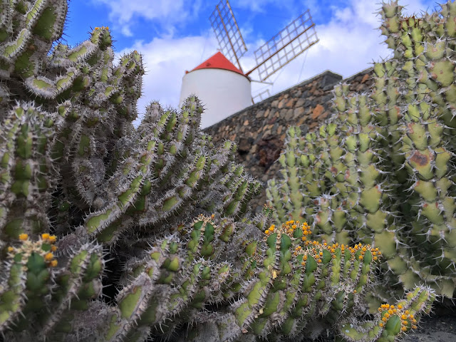 Lanzarote-Jardin-de-Cactus