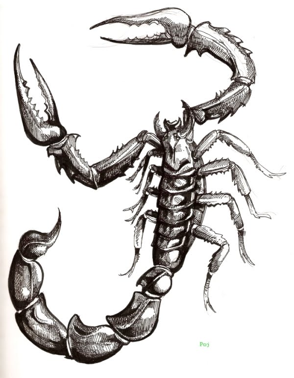 tattoos of scorpions. scorpio tattoo designs.