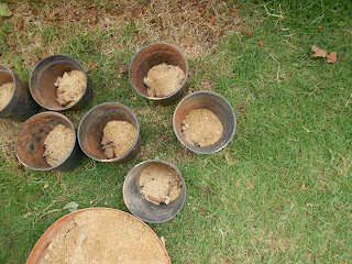 Prepping the pots-2