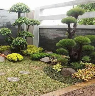 tukang taman lamongan