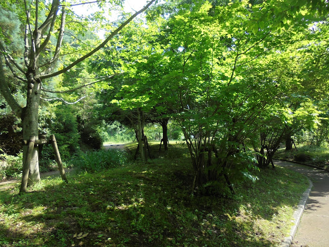 別所川渓流植物園