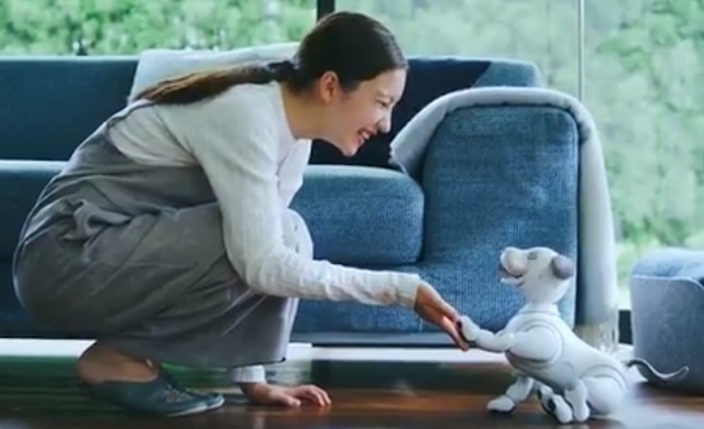 Sony Is Launching AN EXTREMELY High Priced Automatic Robot Puppy