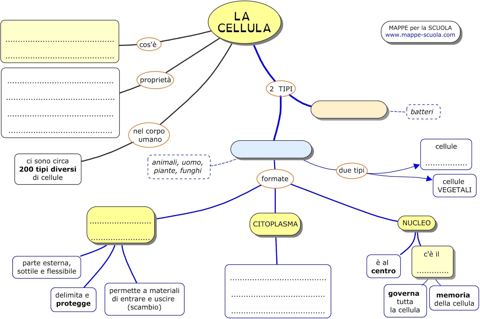 Favoloso MAPPE per la SCUOLA LA CELLULA EUCARIOTA e PROCARIOTA GL77