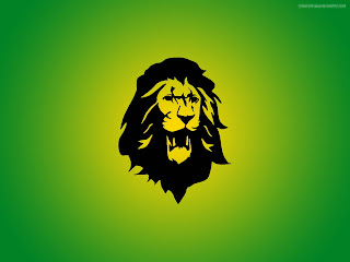 King Lion Head HD Wallpaper