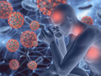 immune system