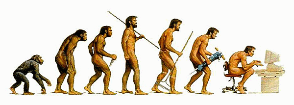 evolution of man