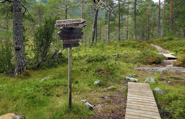 Gaularfjellet