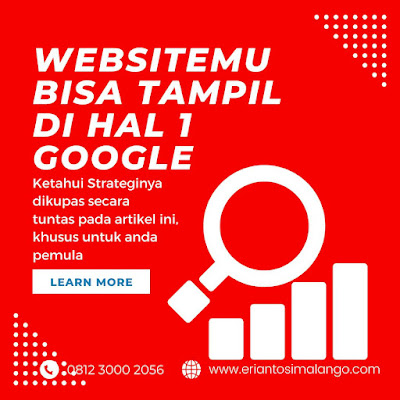 Kursus SEO Pemula di Pekanbaru: Belajar Meningkatkan Trafik dan Peringkat Situs Web Anda