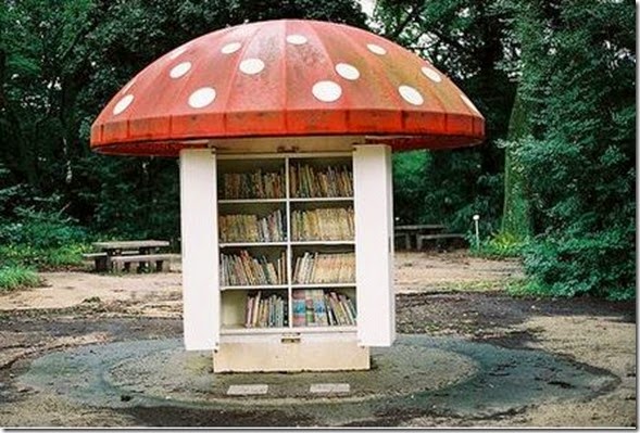 Little Free Libray Mushrom
