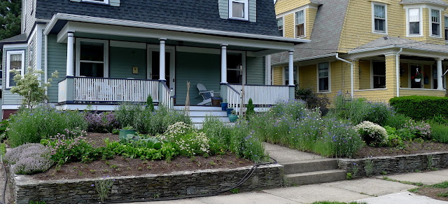 Less Noise, More Green edible landscape, June 10, 2015