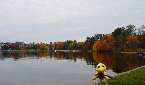 Master Wu Gui @ Lake Muskoka, 2008