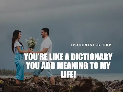 Love Captions-You’re like a dictionary you add meaning to my life!