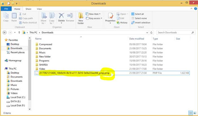 Format File Backup Data PMP 2017