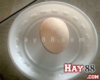Trứng gà cao su từ TQ đã qua tới Vn | Maphim.net
