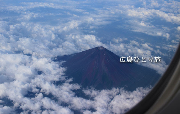 飛行機から見えた富士山