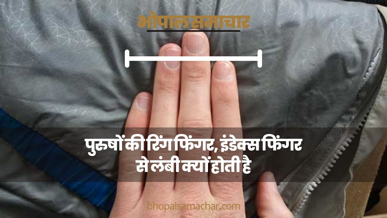 उंगलियों की भी होती है अपनी पहचान, जानिए हिंदी-इंग्लिश-अरबी में इनके नाम -  Fingers name in hindi english urdu arabic and islam ahlbse