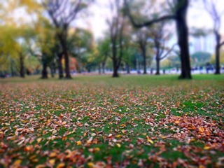074dev-DSC04834