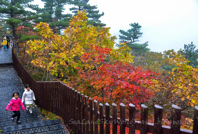 雪嶽山紅葉