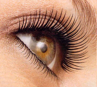 All About Eyelash Tinting